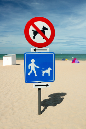 Direction sign for dog beach