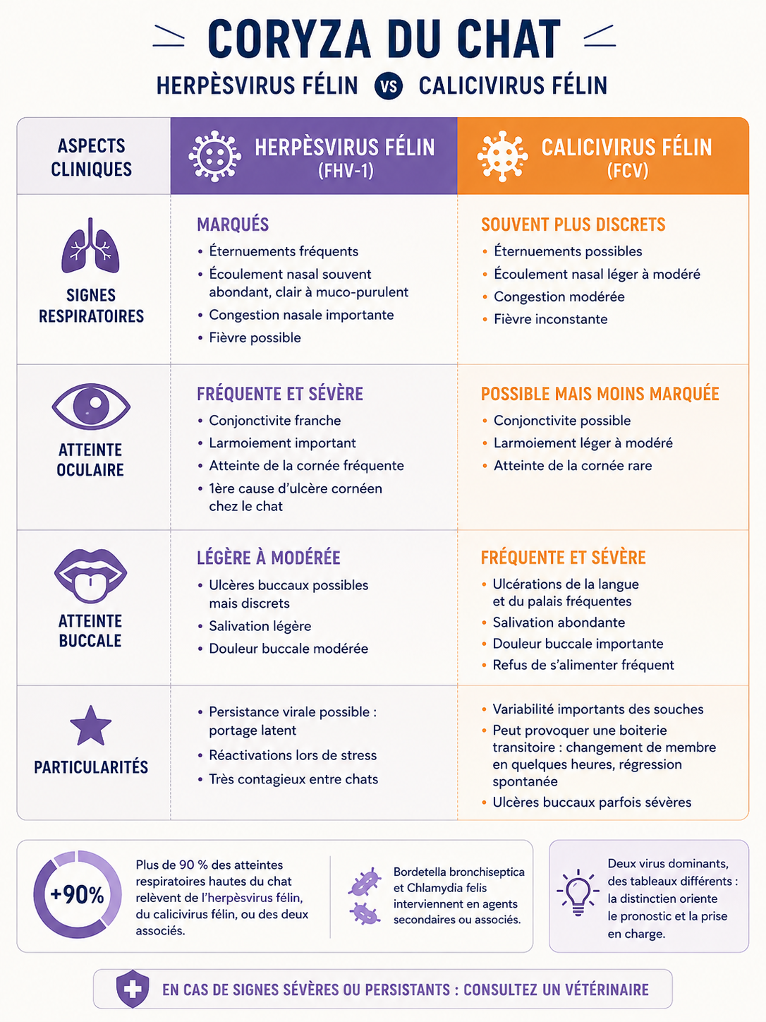 Comparaison herpèsvirus et calicivirus félins : signes respiratoires, oculaires et buccaux du coryza