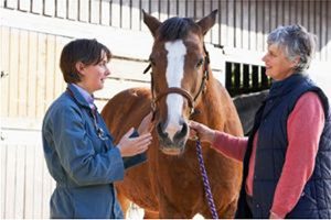 Lire la suite à propos de l’article Emphysème pulmonaire du cheval