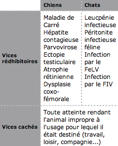 consultation-achat