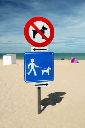 baignades-panneau interdiction chien sur plage