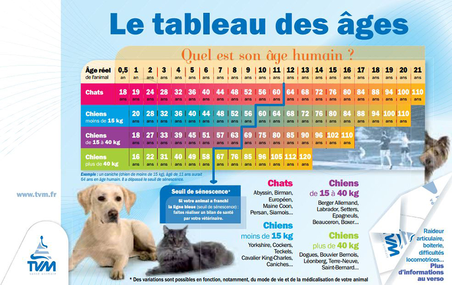 tableau des ages chiens et chats