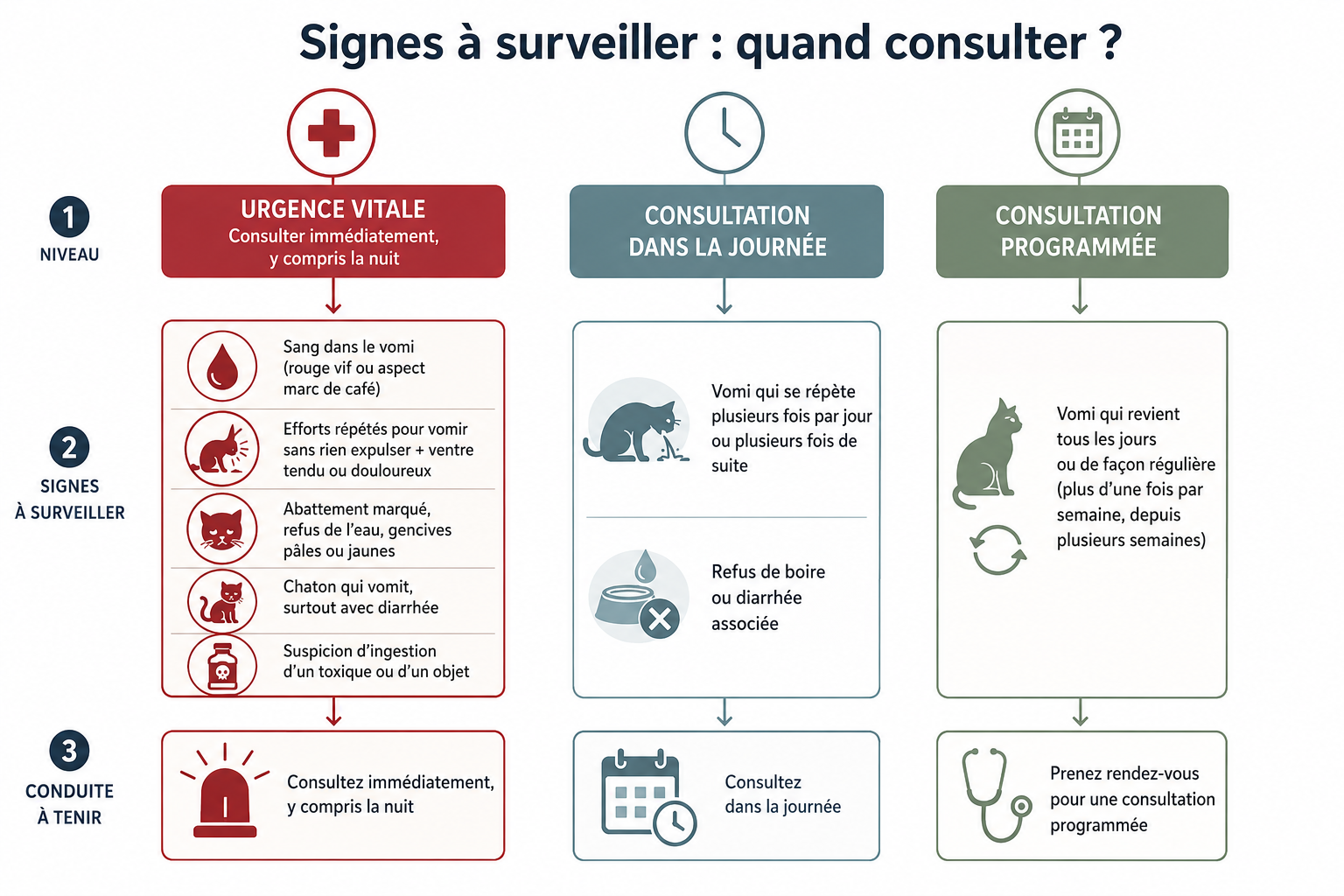 Arbre de décision visuel orientant le propriétaire entre urgence immédiate, consultation dans la journée et consultation programmée selon les signes observés