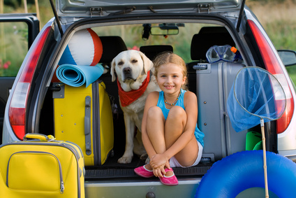 chien et enfant assis dans coffre voiture-quiz