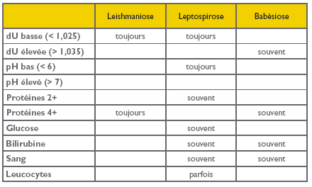 La bandelette urinaire - VETOPEDIA - Conseils vétérinaires