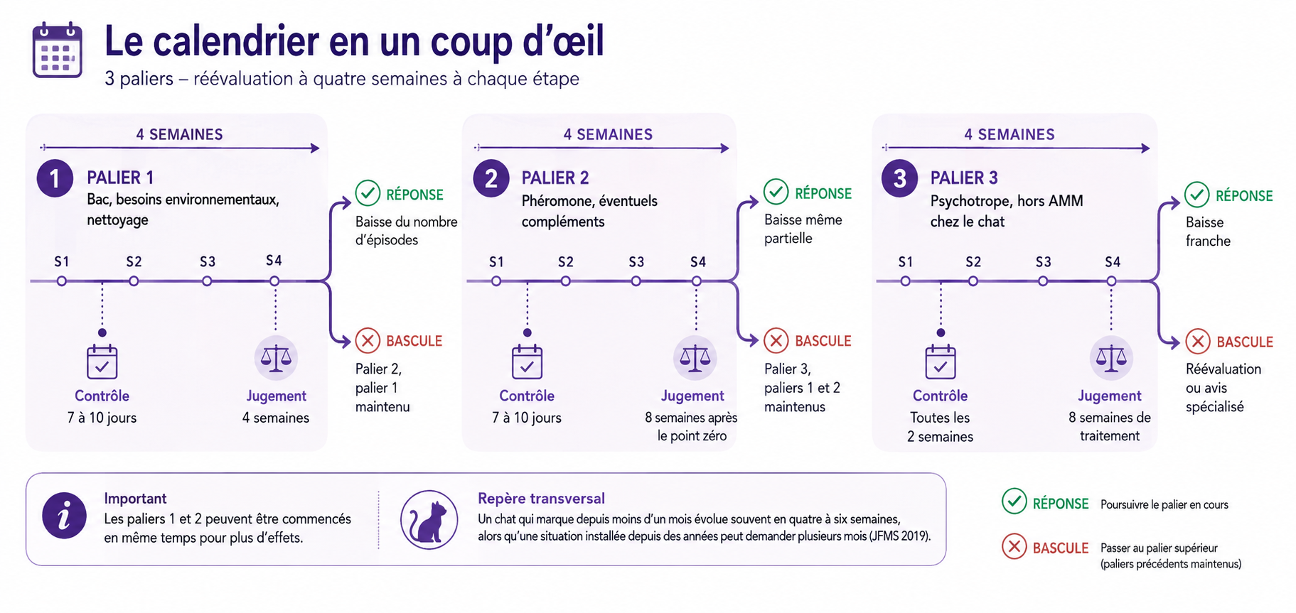 Calendrier de traitement du chat malpropre en trois paliers avec délais de réévaluation à quatre semaines