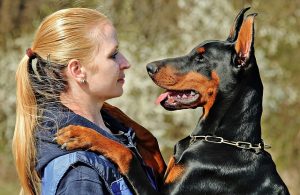 Lire la suite à propos de l’article Faut-il repousser le chien qui demande un câlin ?