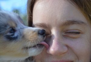 Lire la suite à propos de l’article Hyper attachement et psychotropes chez le chien