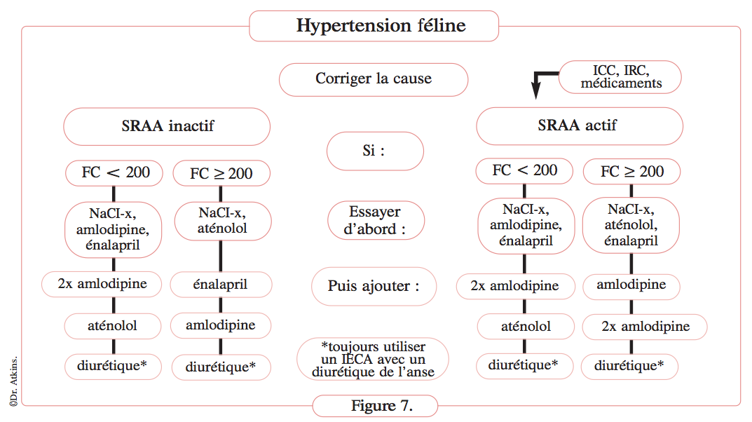 arbre-decisionnel-therapie-hypertension-chat