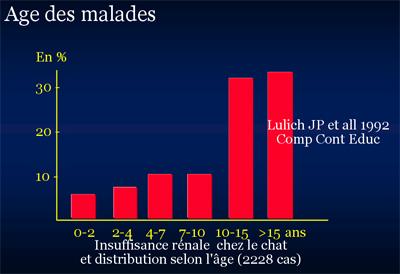 graphique-insuffisance renale-chat