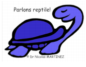 tortue-hermann-logo-parlons-reptile