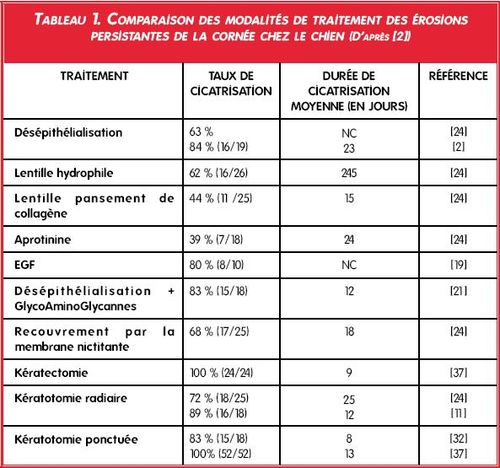 tableau - ulcere superficiel chronique cornee chien