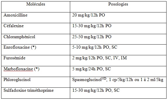 tableau molecules - systeme urinaire furet