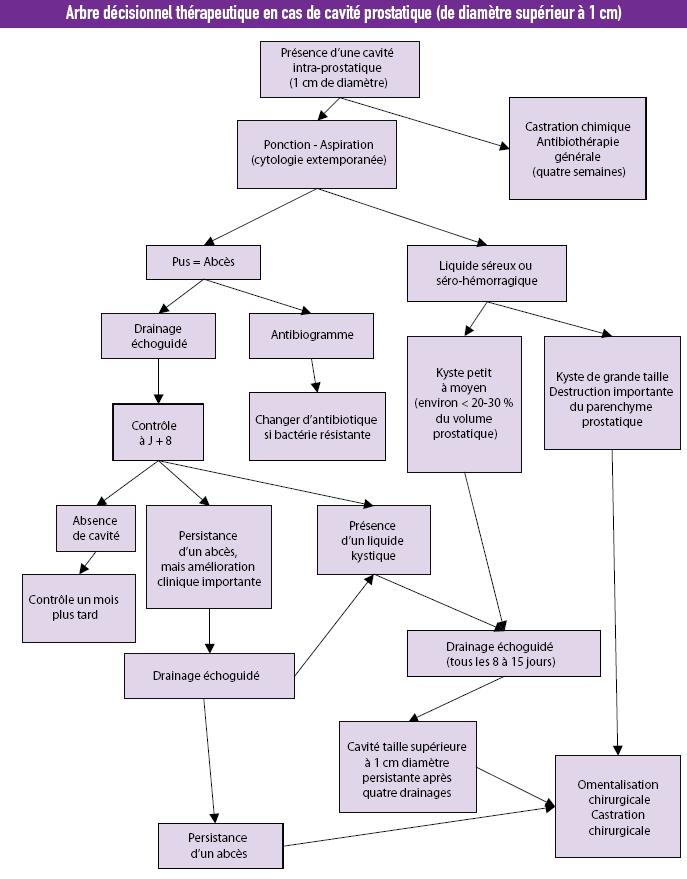 schema arbre decisionnel - cavites prostatiques