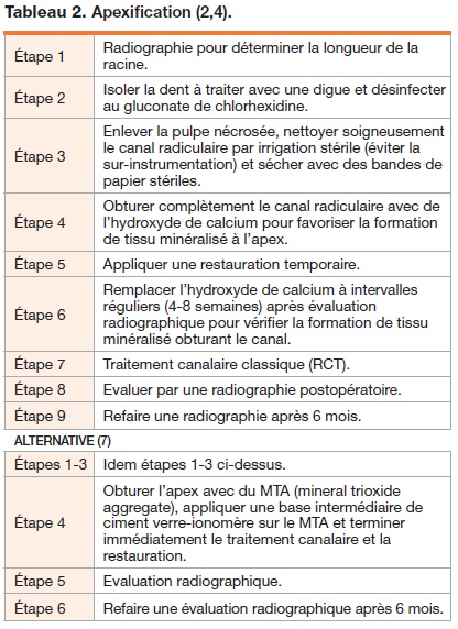 tableau apexification - dentisterie jeunes chiens chats