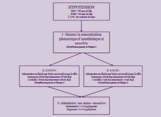 arbre decisionnel - mesure pression arterielle