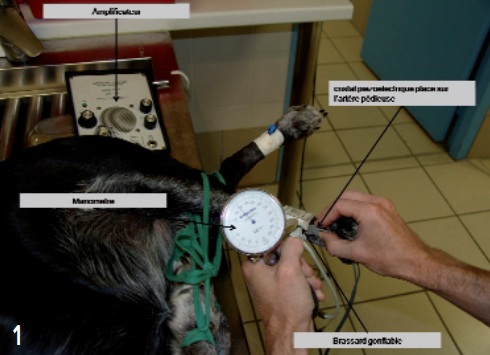 appareil mesure doppler - pression arterielle