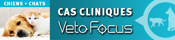logo vetofocus cas cliniques