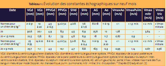tableau evolution constantes echographiques 9 mois - persistance canal arteriel