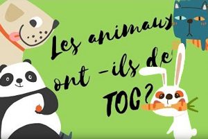 Lire la suite à propos de l’article Les animaux ont-ils des TOC ?