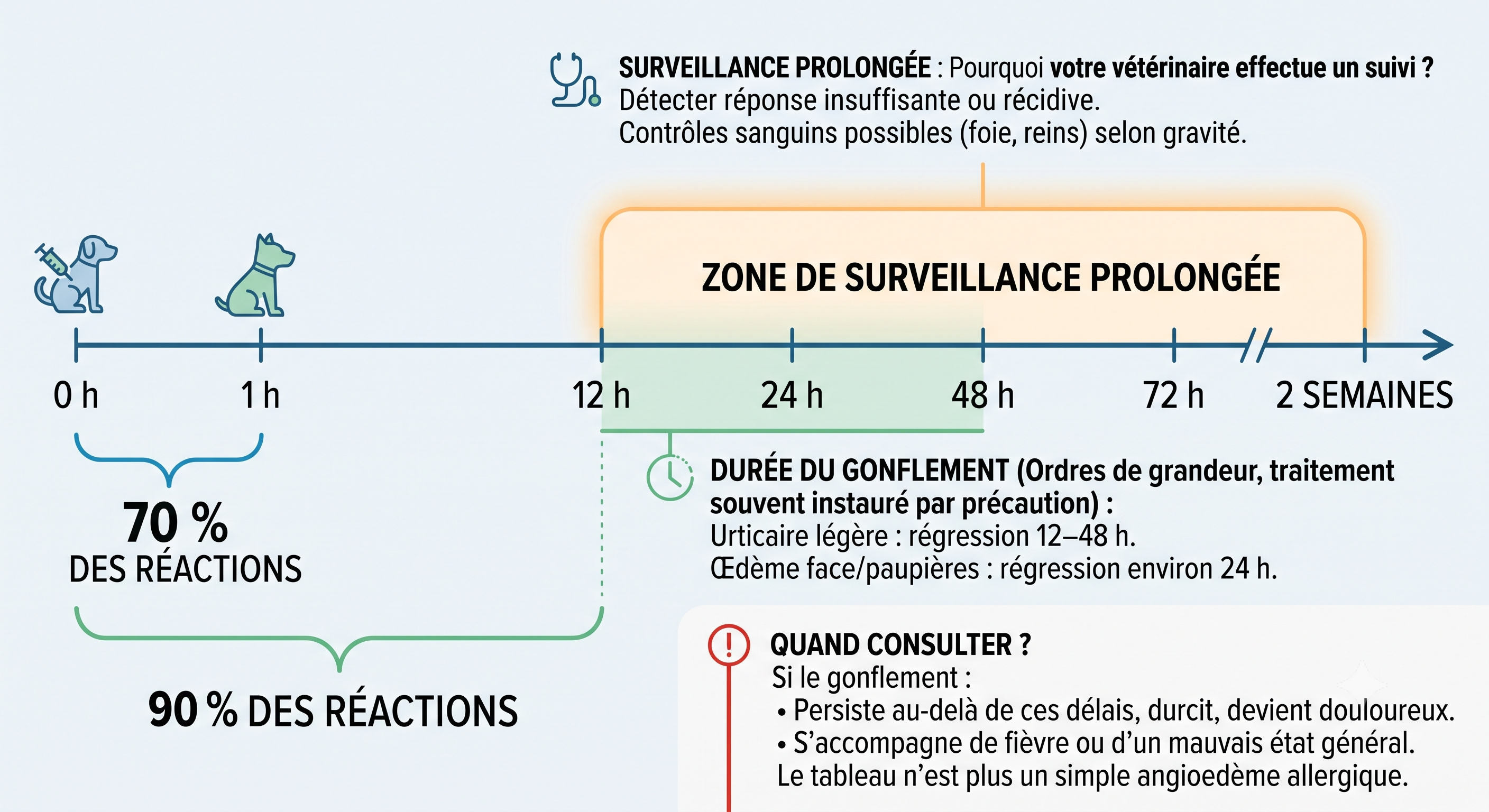 Délai d’apparition des réactions après vaccination chez le chien : 70 % dans l’heure, 90 % en 12 heures