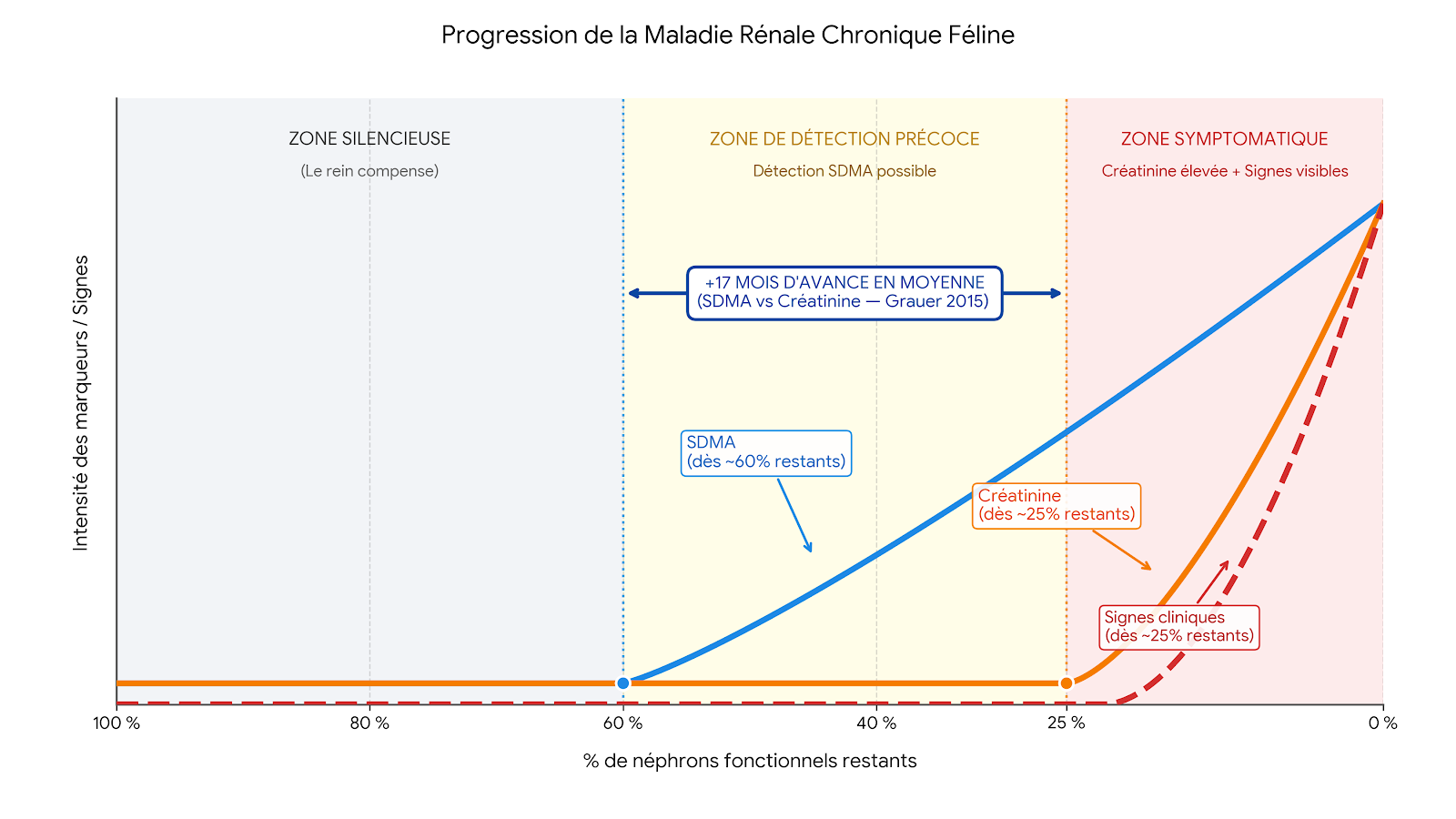 Schéma comparatif des seuils de détection de la maladie rénale chronique féline par la SDMA et la créatinine
