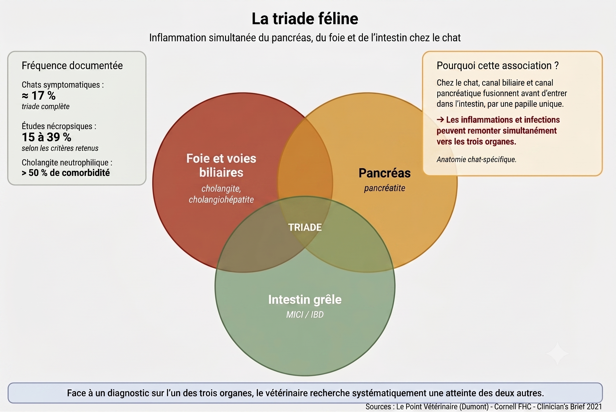 Diagramme des trois organes de la triade féline : pancréas, foie et voies biliaires, intestin grêle, avec chiffres cles