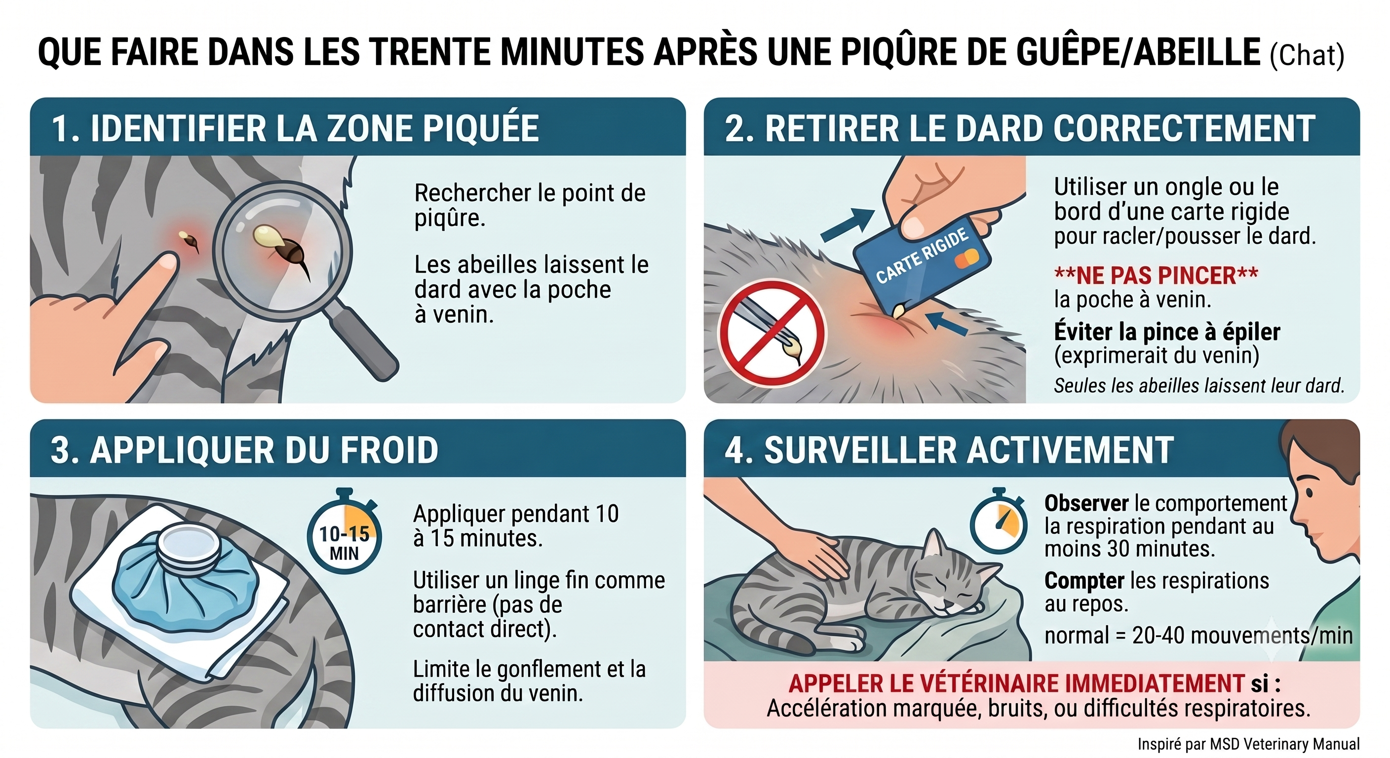 Retrait du dard d'abeille sur la peau d'un chat à la carte rigide : pousser ou racler latéralement, ne jamais pincer la poche à venin