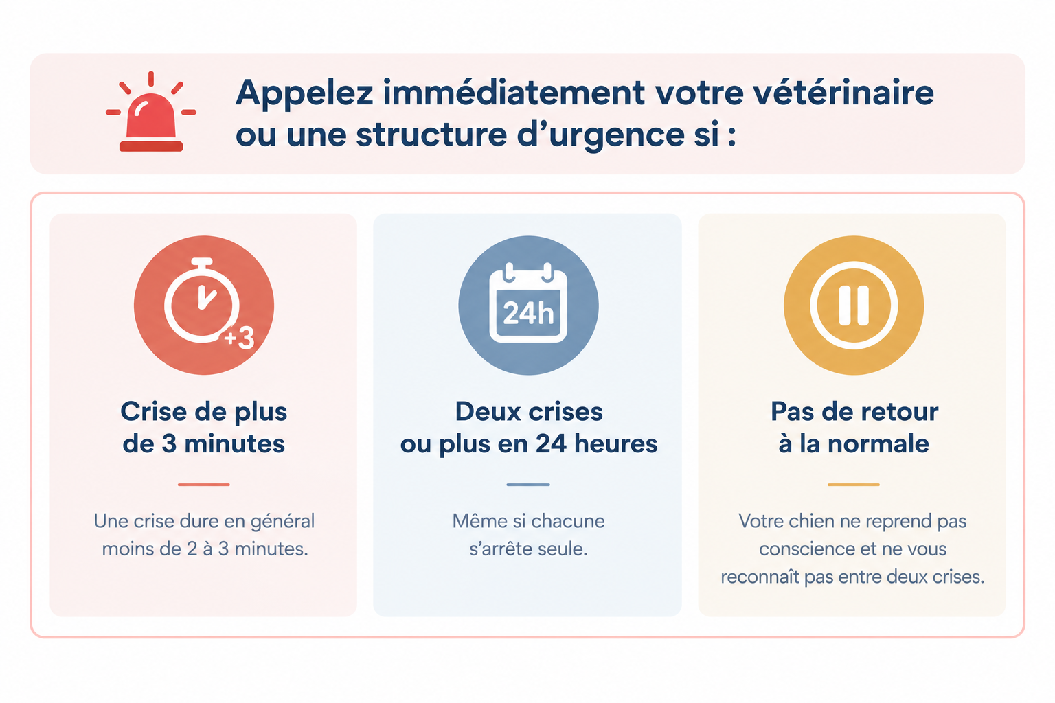 Trois situations qui imposent un appel vétérinaire immédiat lors d'une crise convulsive chez le chien